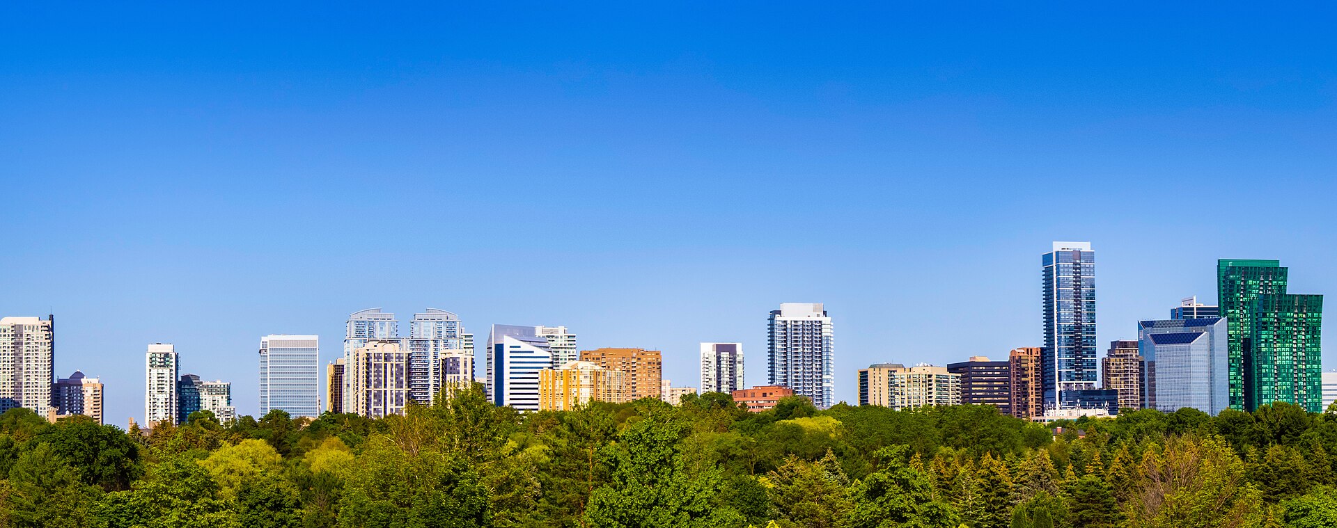 North York real estate